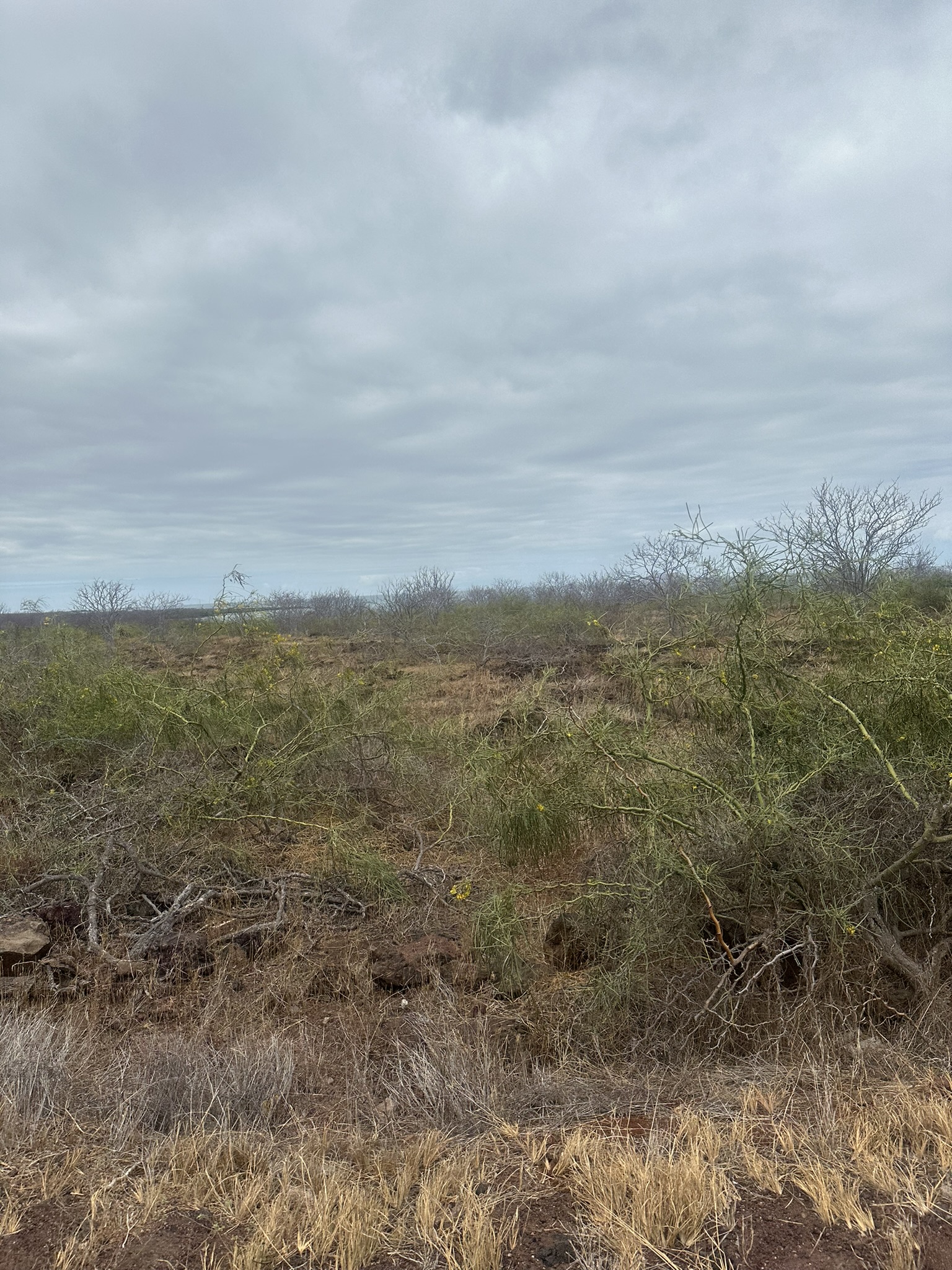 Ecuador-Galapagos Islands - Image 398